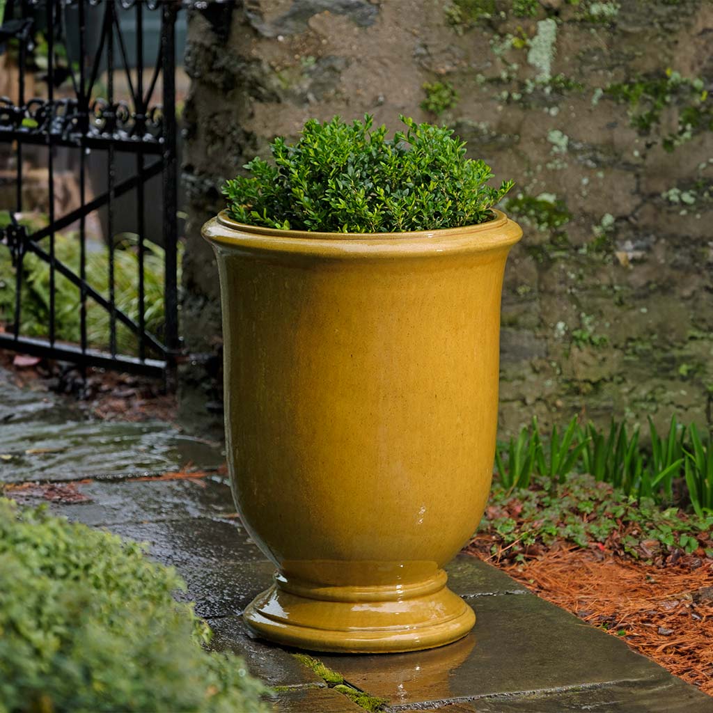 Antibe Urn - Honey - S/1
