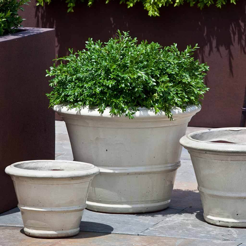 Vicolo Planter - Cream - S/3