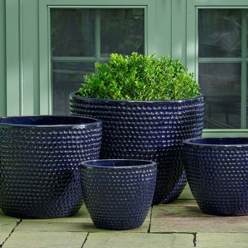 Coin Pot - Sapphire - S/4