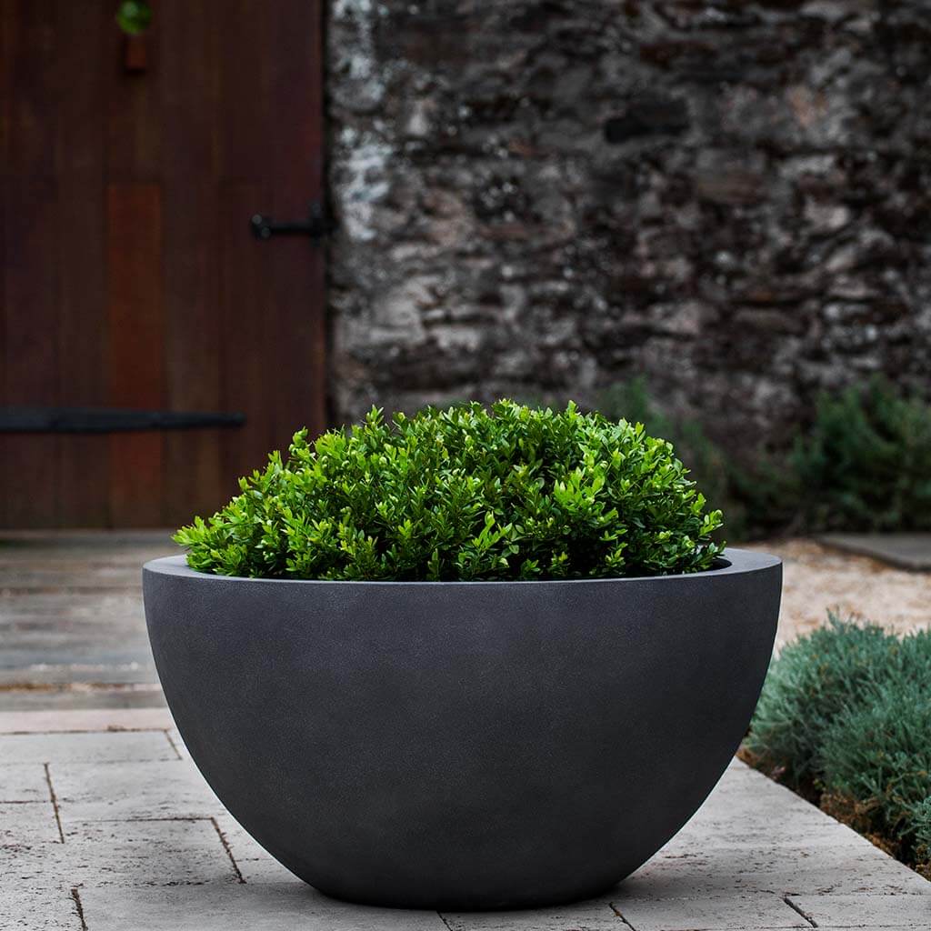 Sm Piccadilly Planter - Lead Lite
