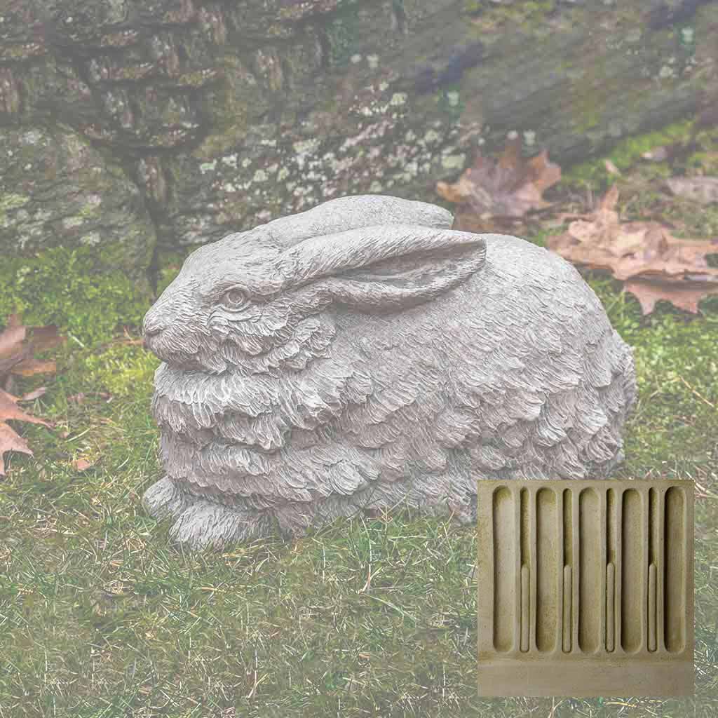 Flemish Hare