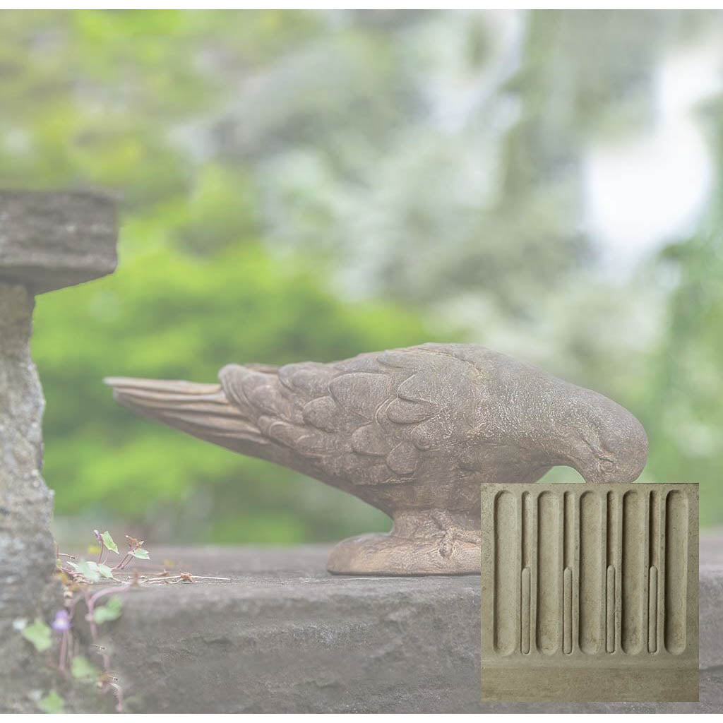 French Dove