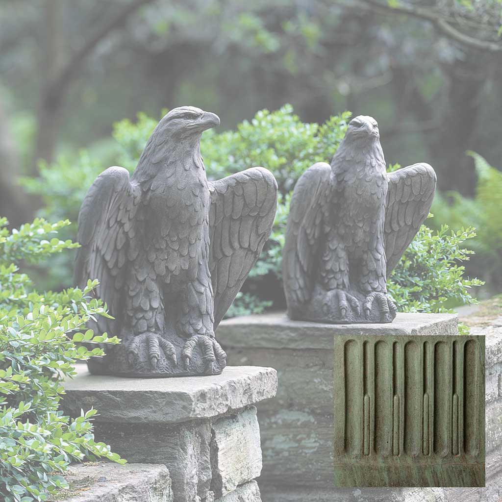 Eagle Looking Left and Right