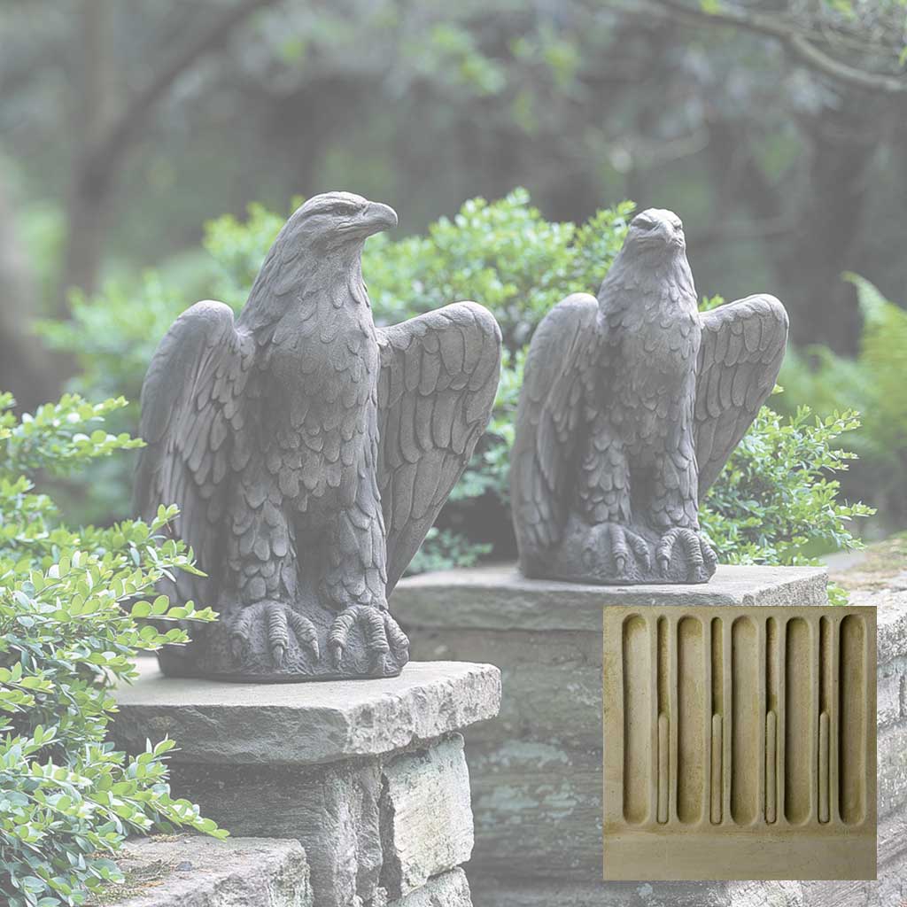 Eagle Looking Left and Right