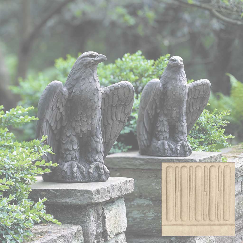 Eagle Looking Left and Right