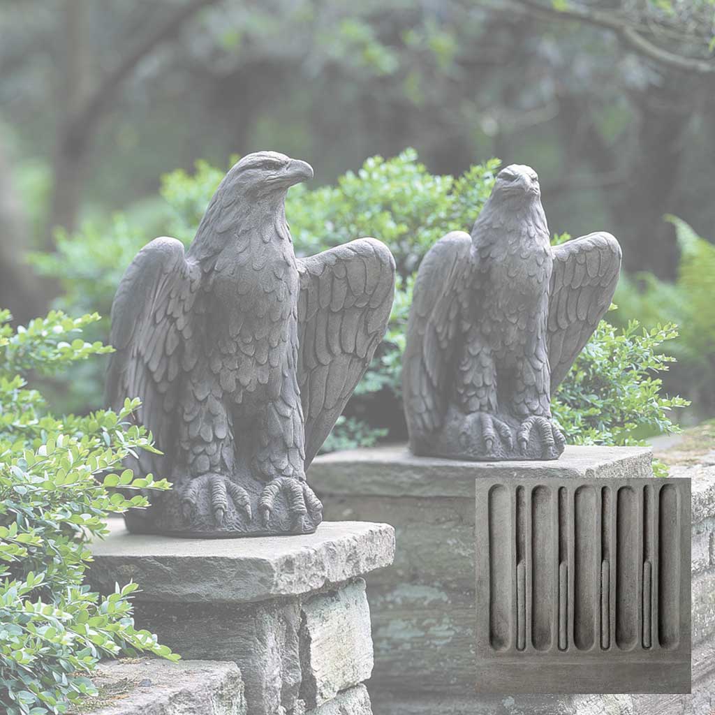Eagle Looking Left and Right