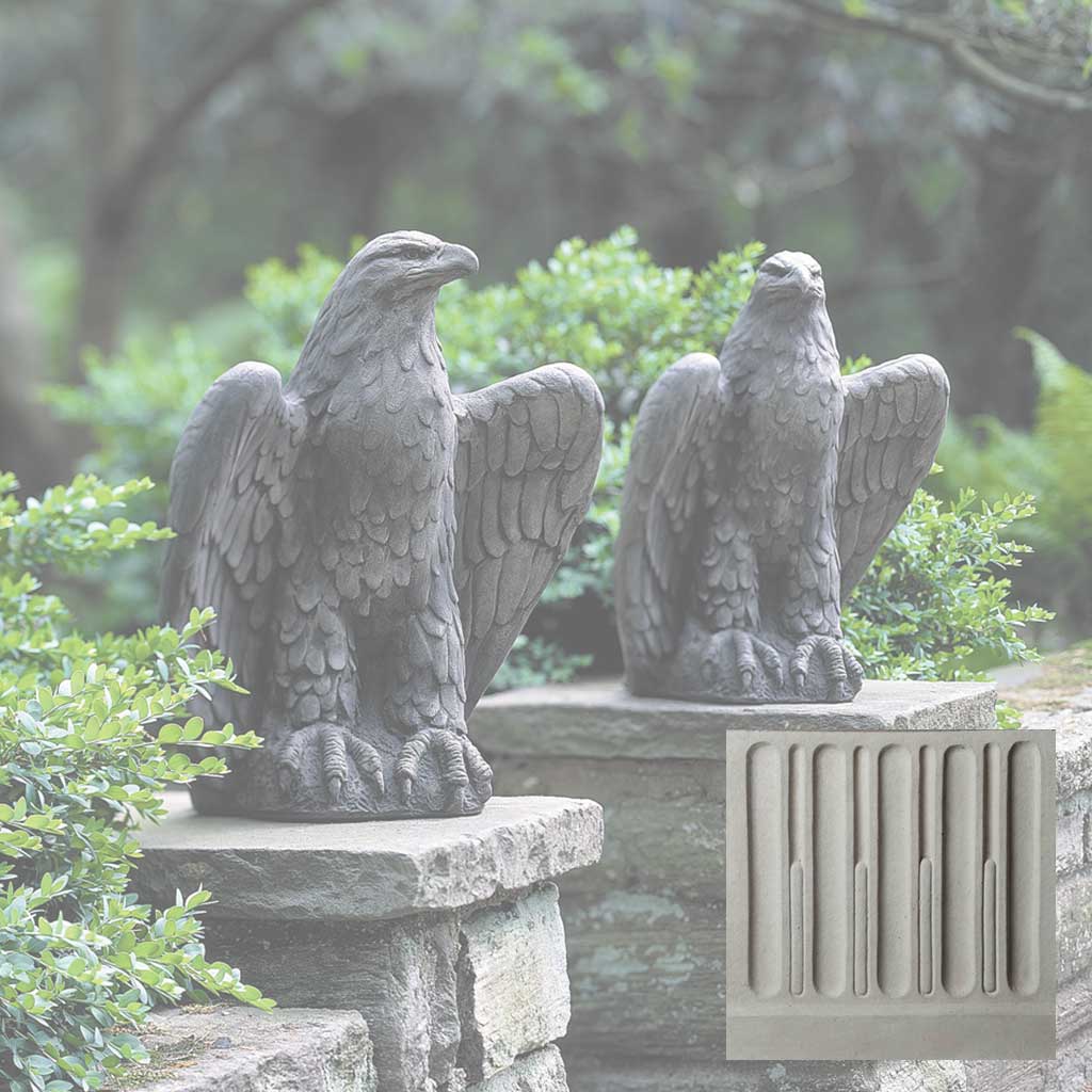 Eagle Looking Left and Right
