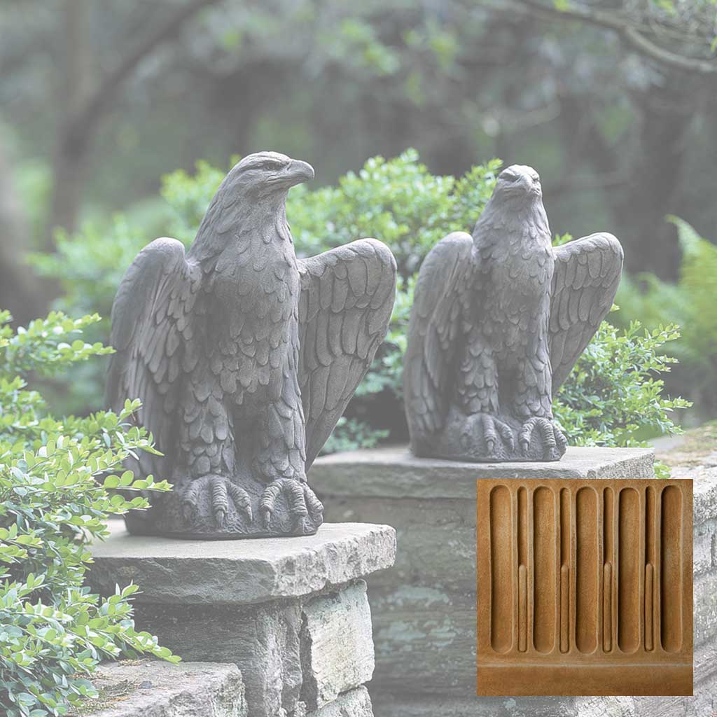 Eagle Looking Left and Right