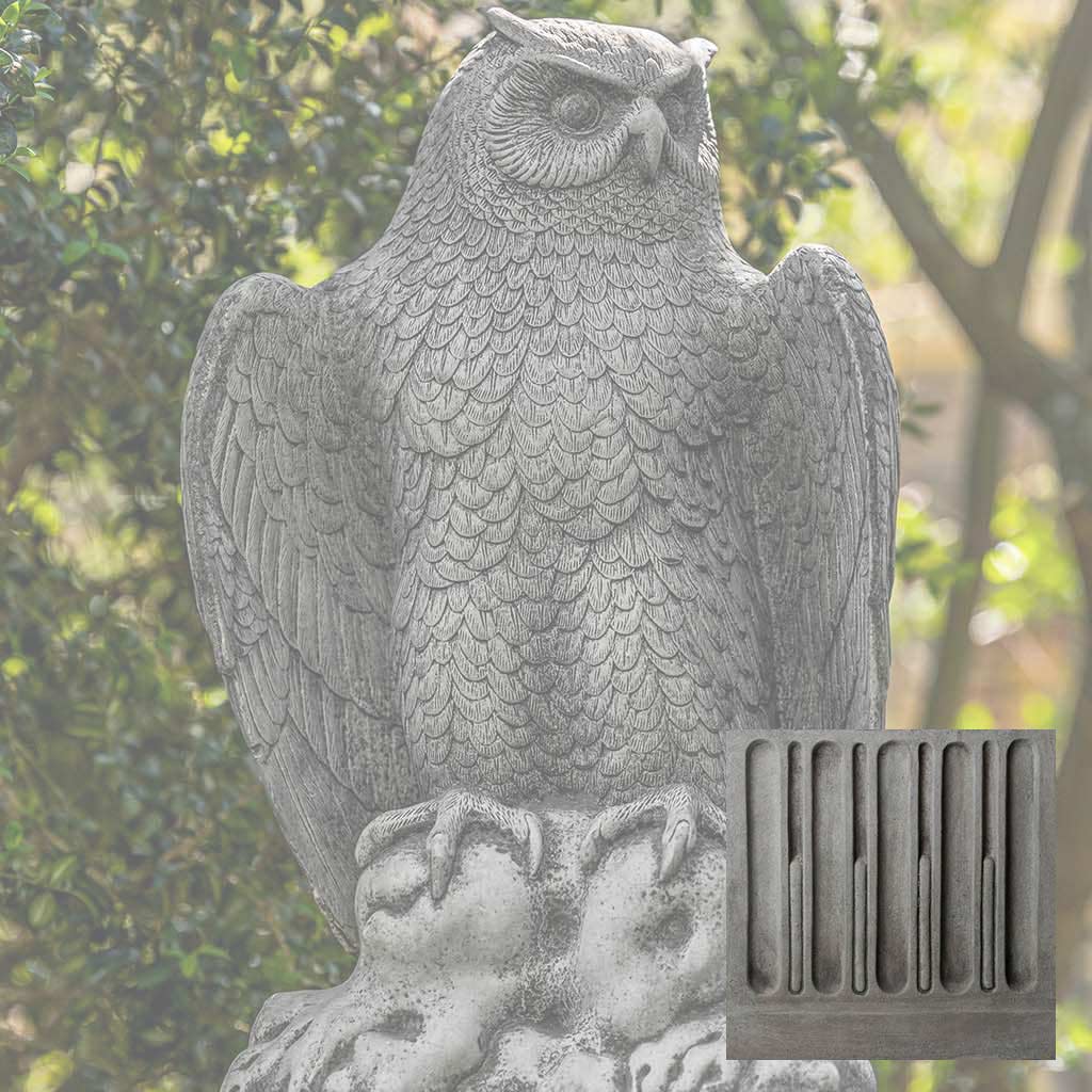 August Owl