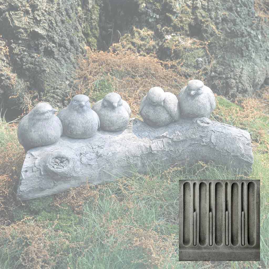 Birds on a Log