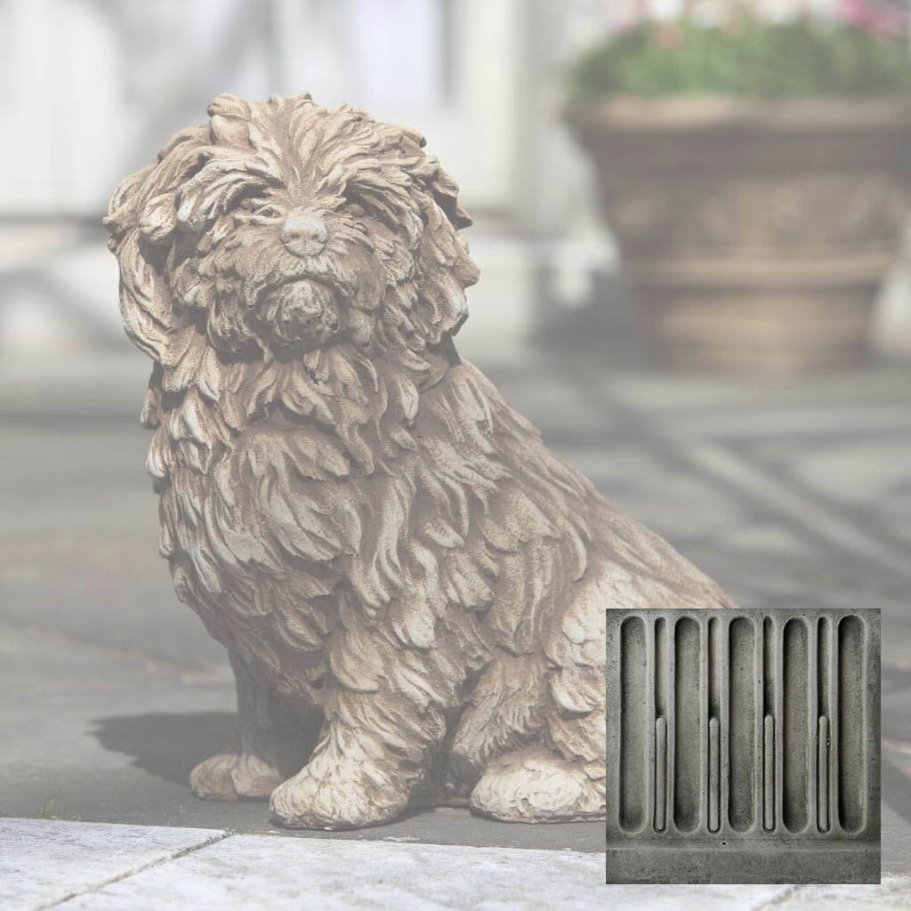 Fluffy Dog