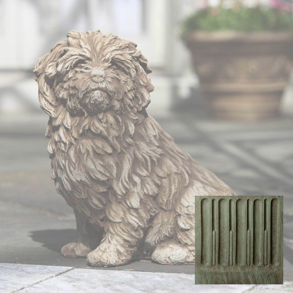 Fluffy Dog
