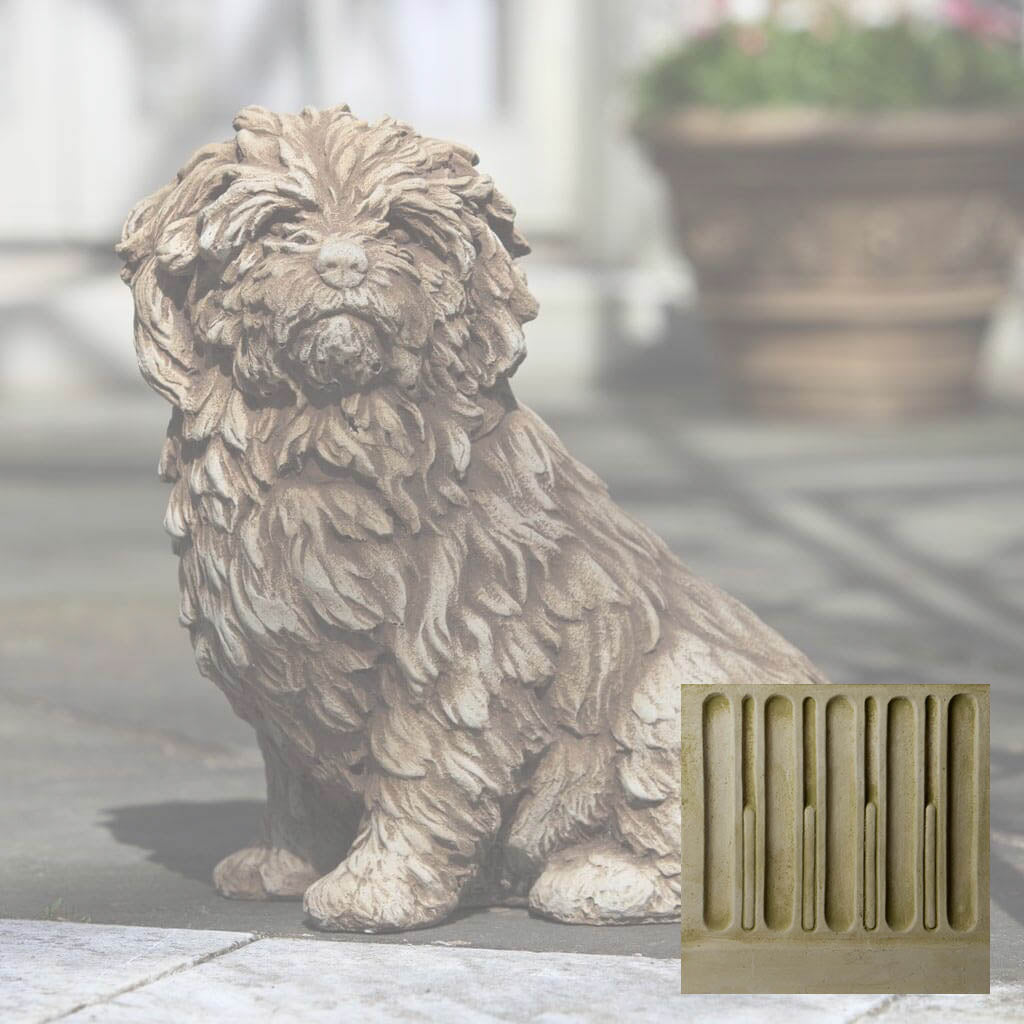 Fluffy Dog