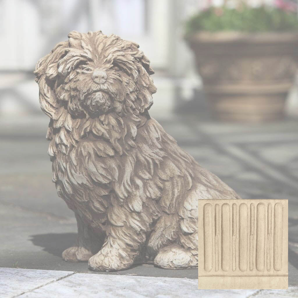 Fluffy Dog