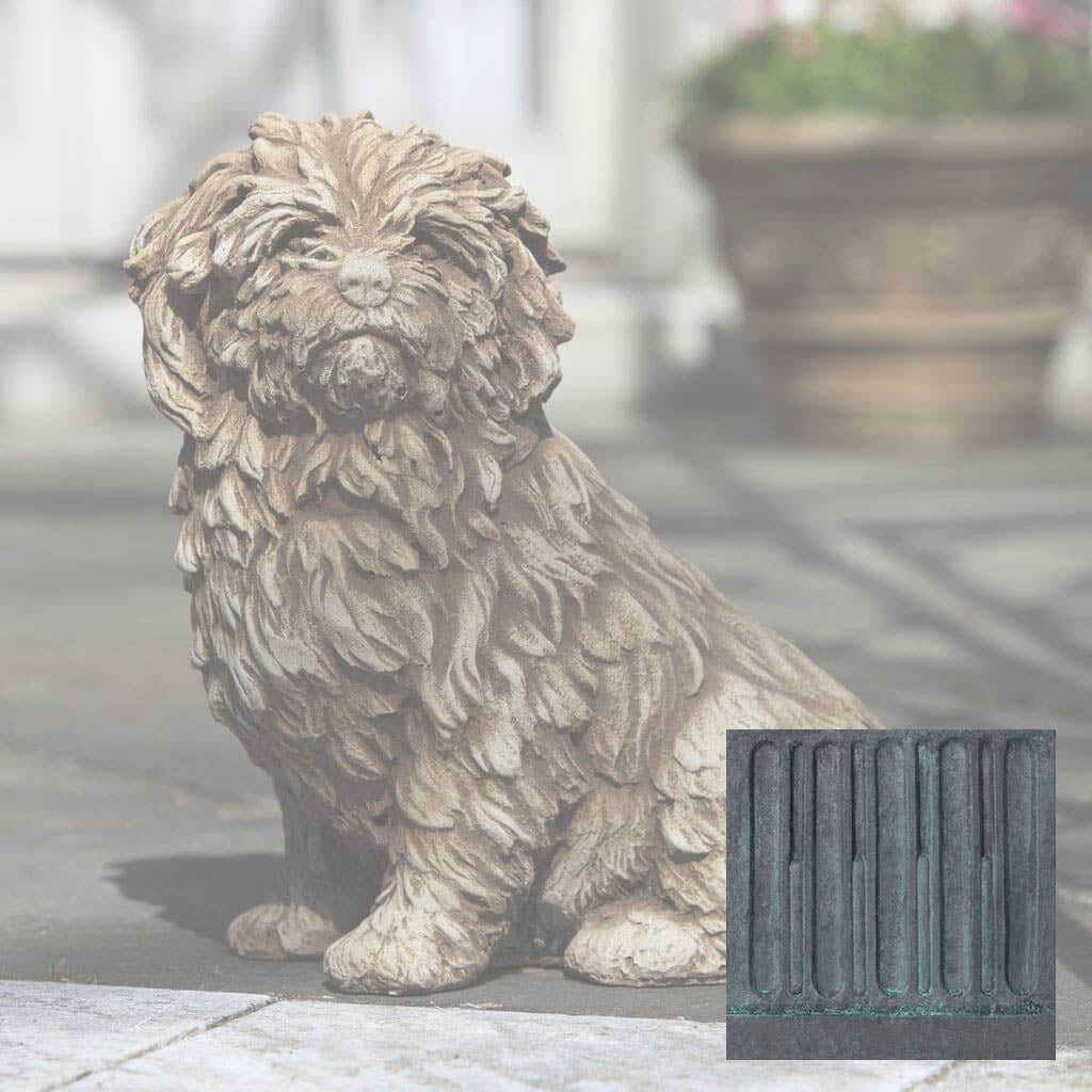 Fluffy Dog