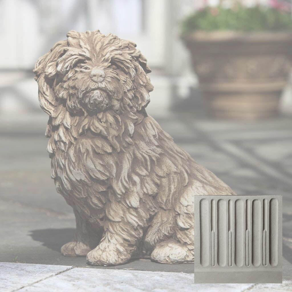 Fluffy Dog