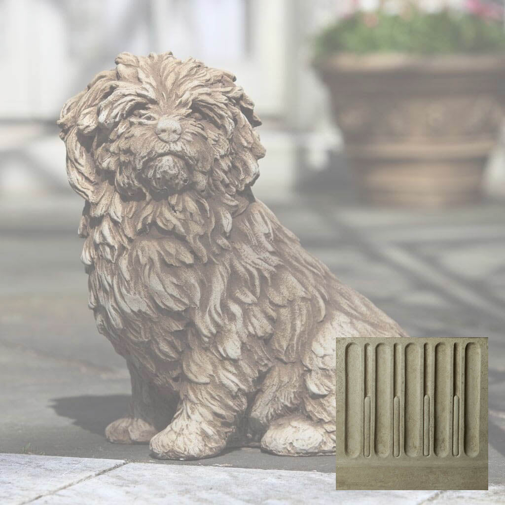 Fluffy Dog