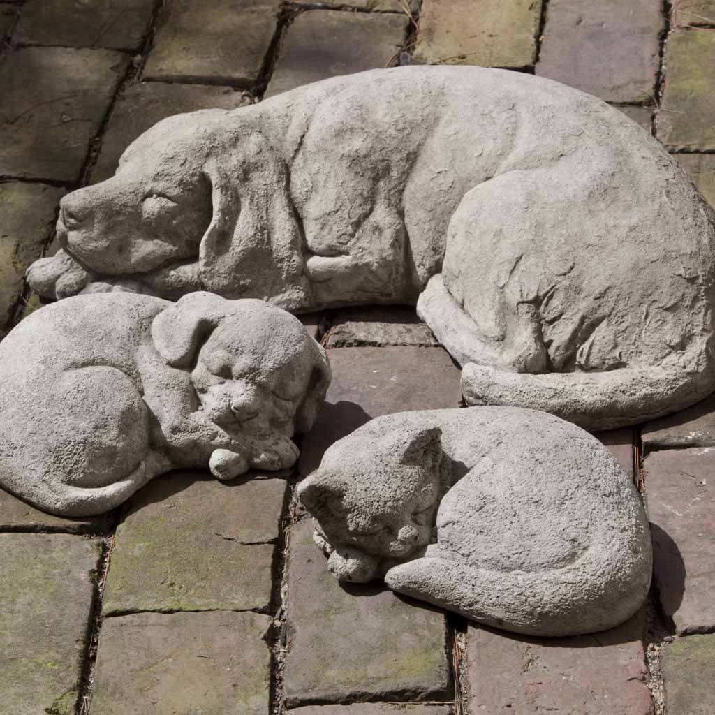 Curled Dog, Small