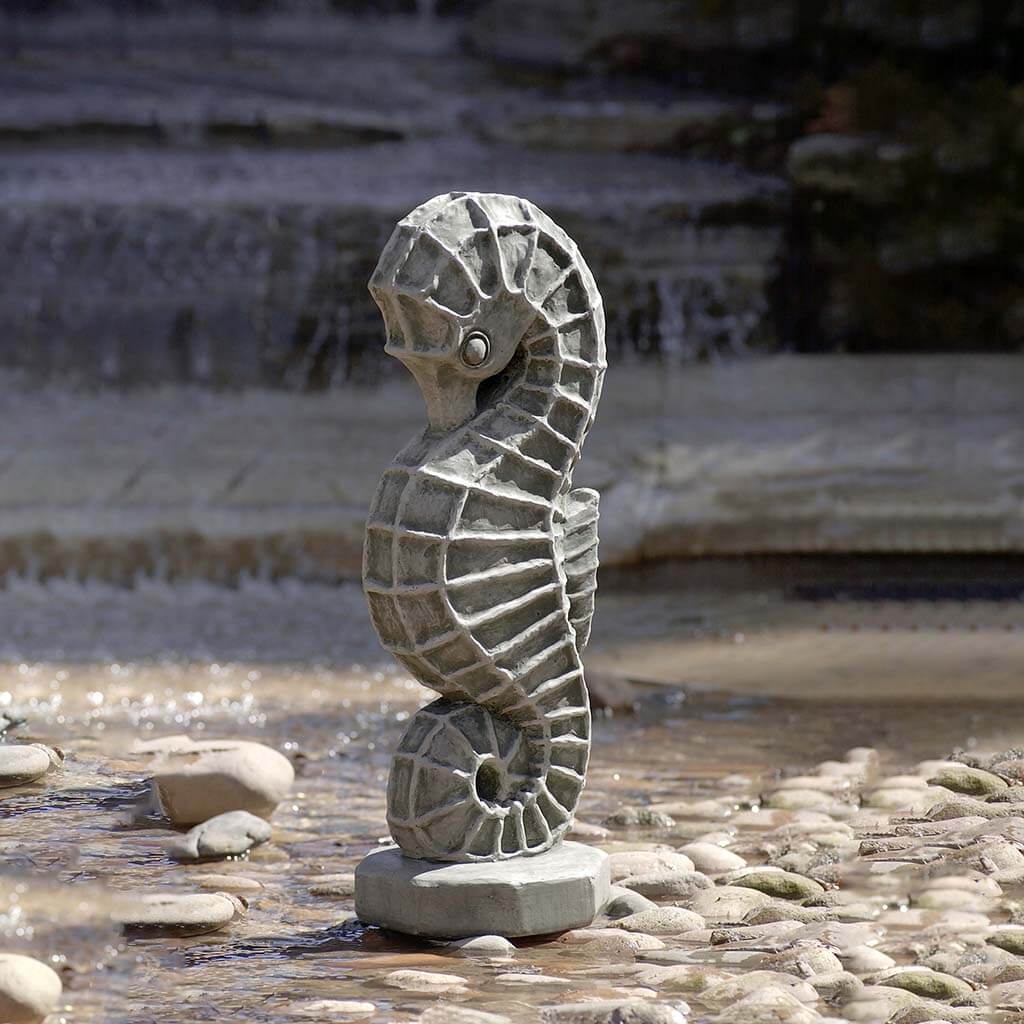 Seahorse
