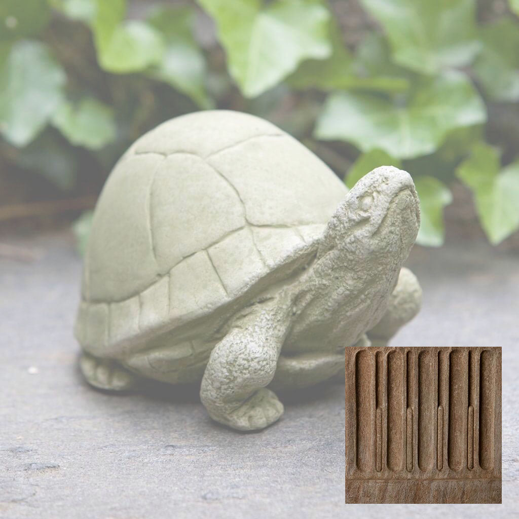 Box Turtle