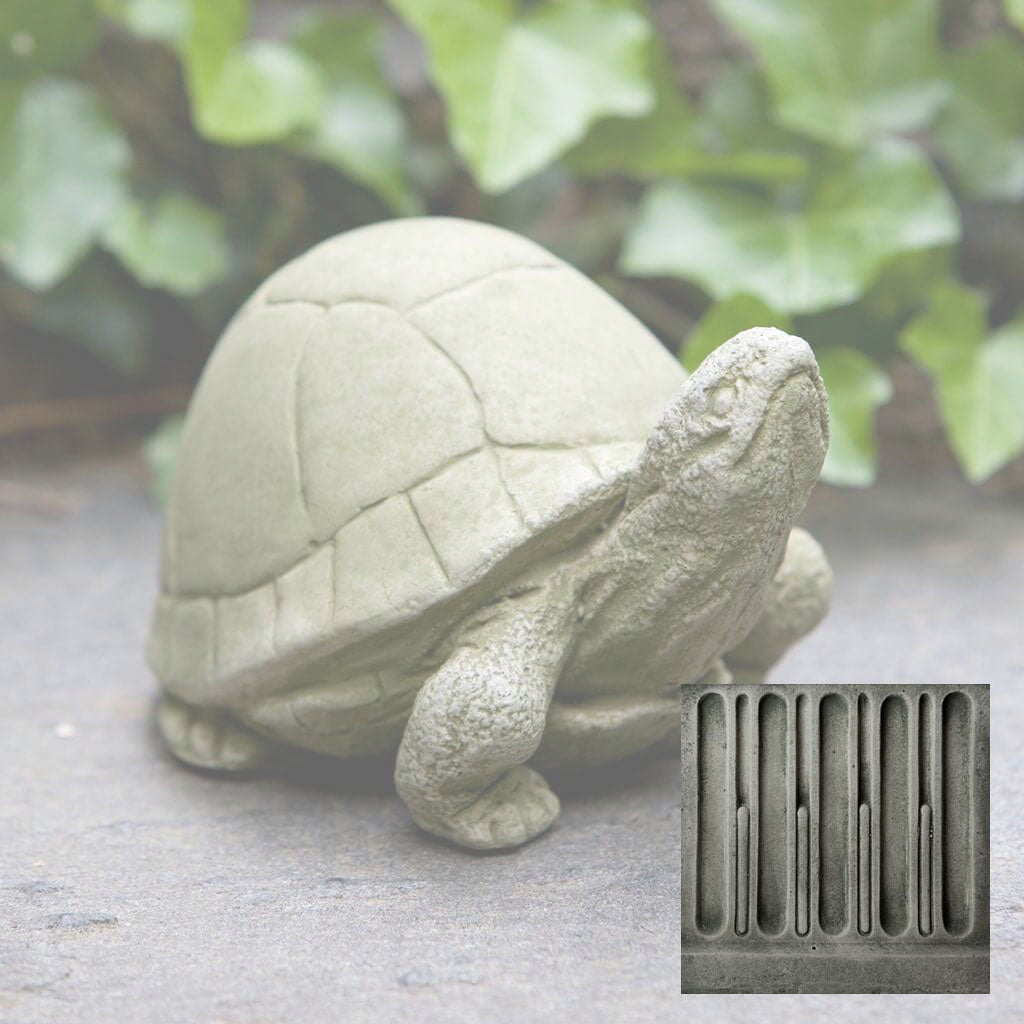 Box Turtle