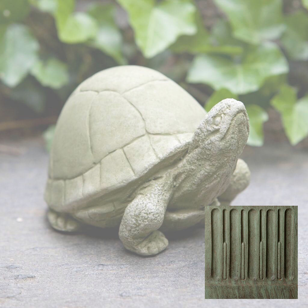 Box Turtle