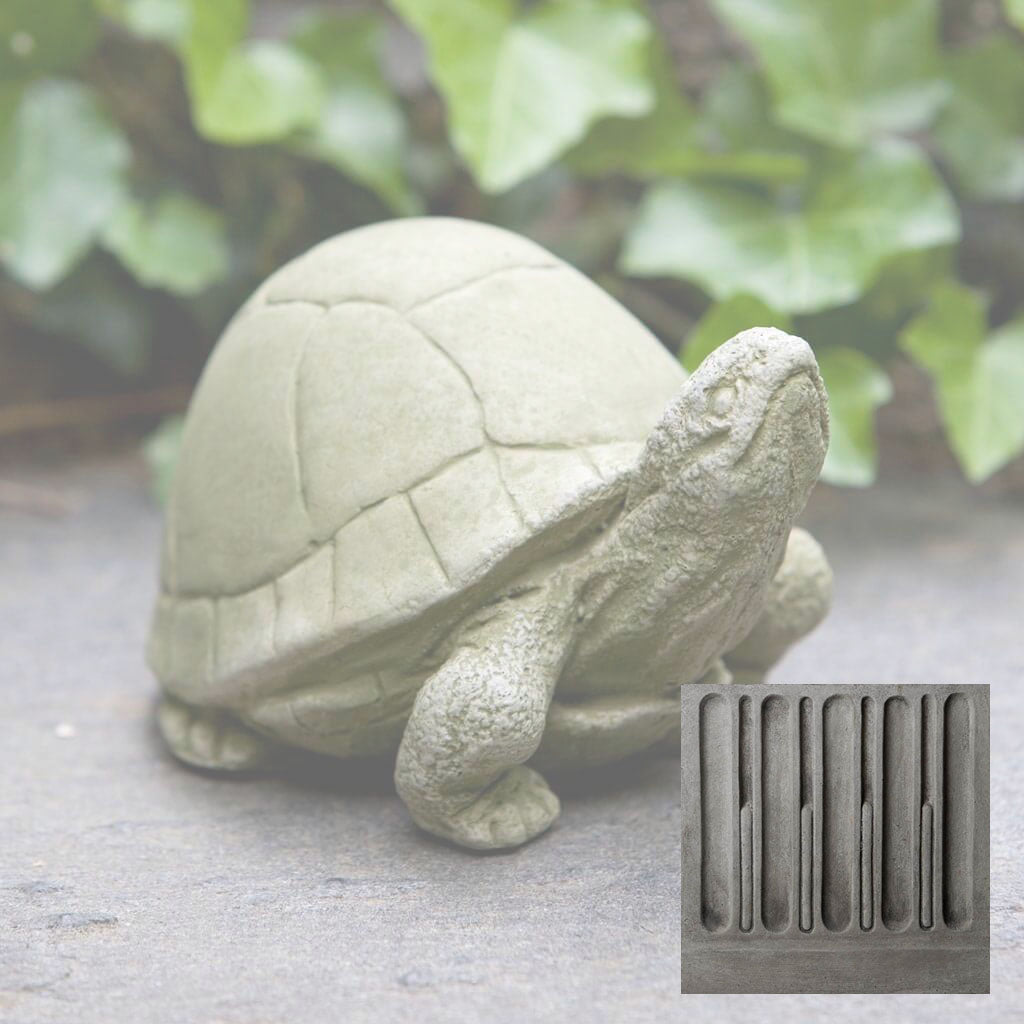 Box Turtle