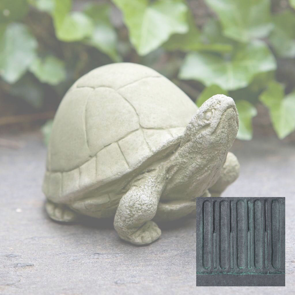 Box Turtle