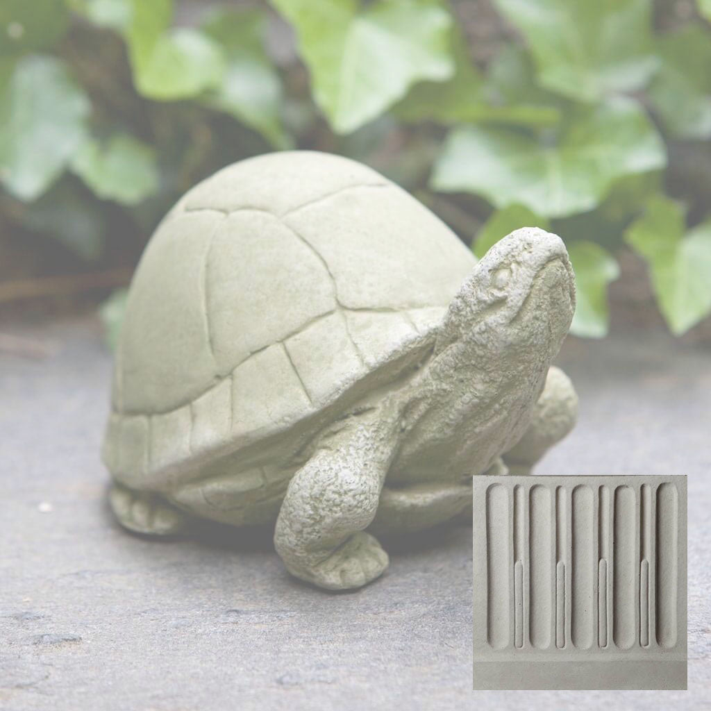 Box Turtle