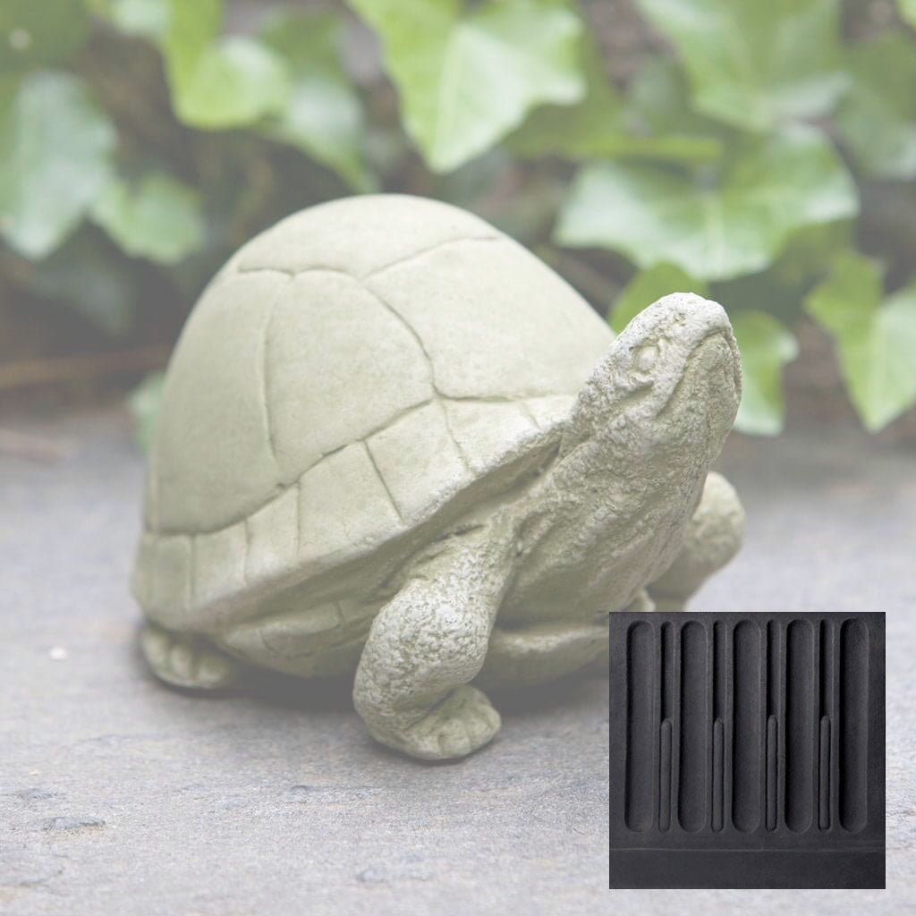 Box Turtle