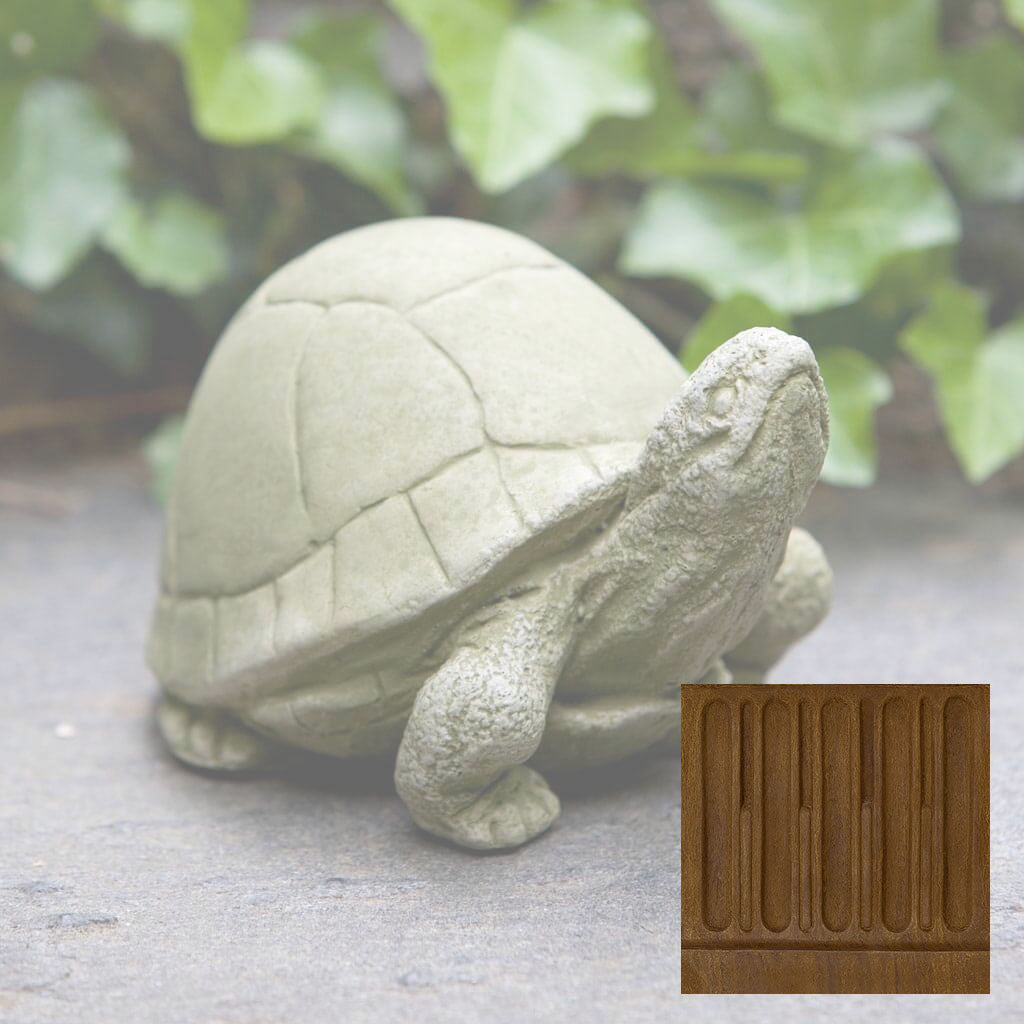Box Turtle