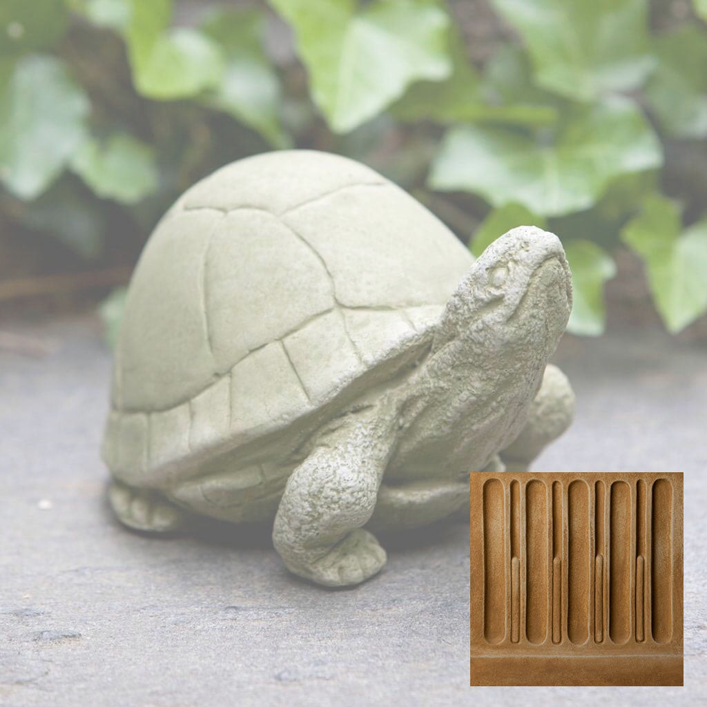 Box Turtle
