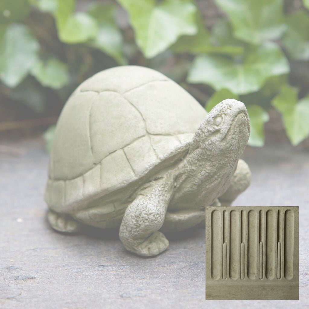 Box Turtle