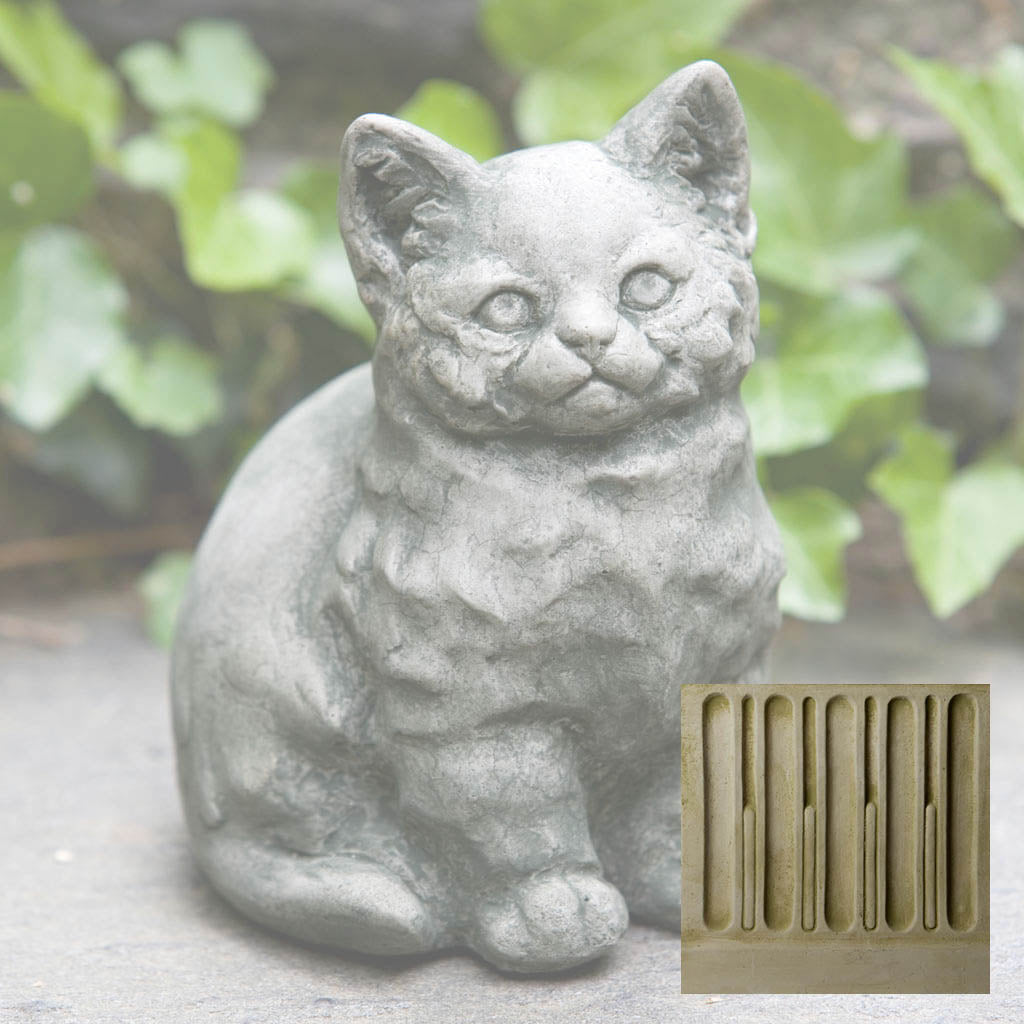 Kitty