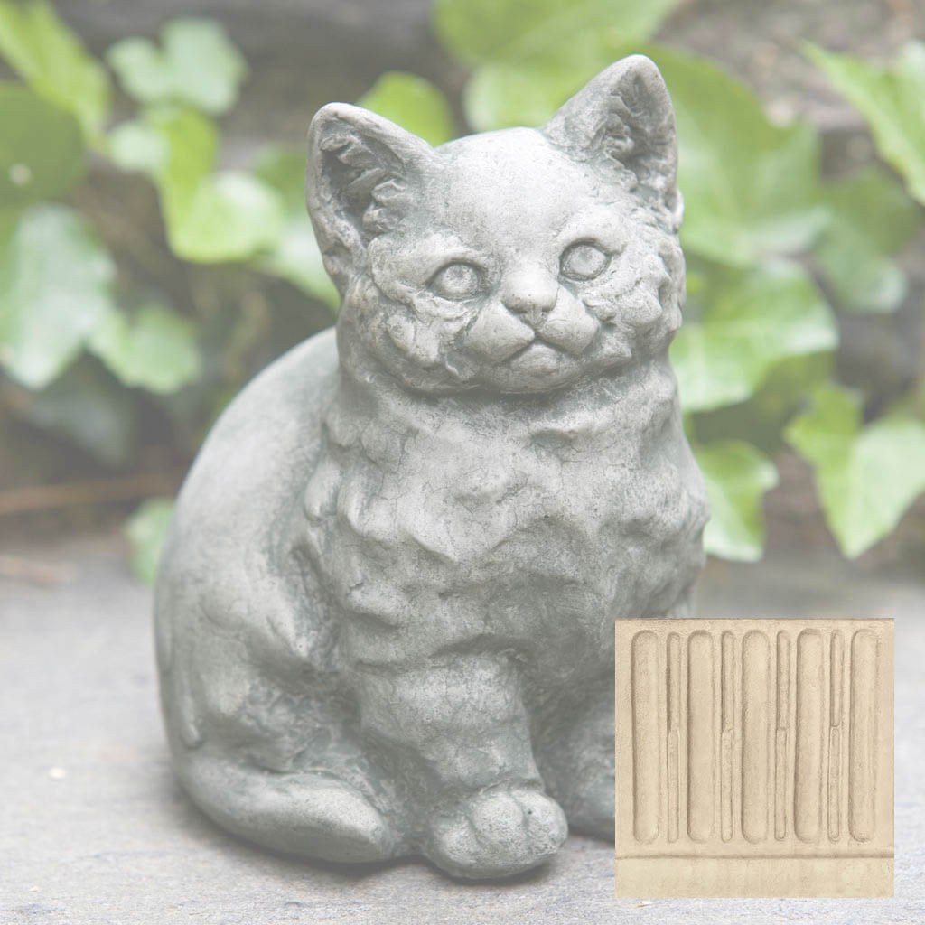 Kitty