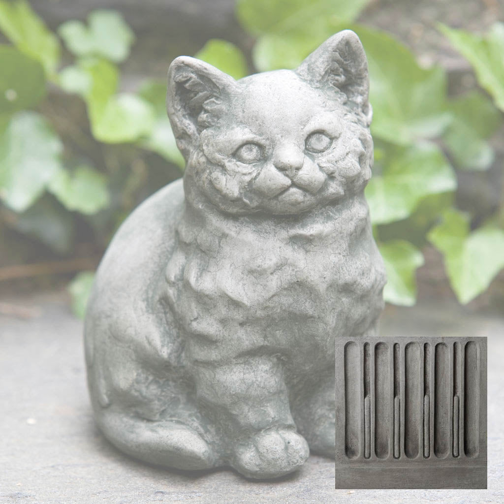 Kitty