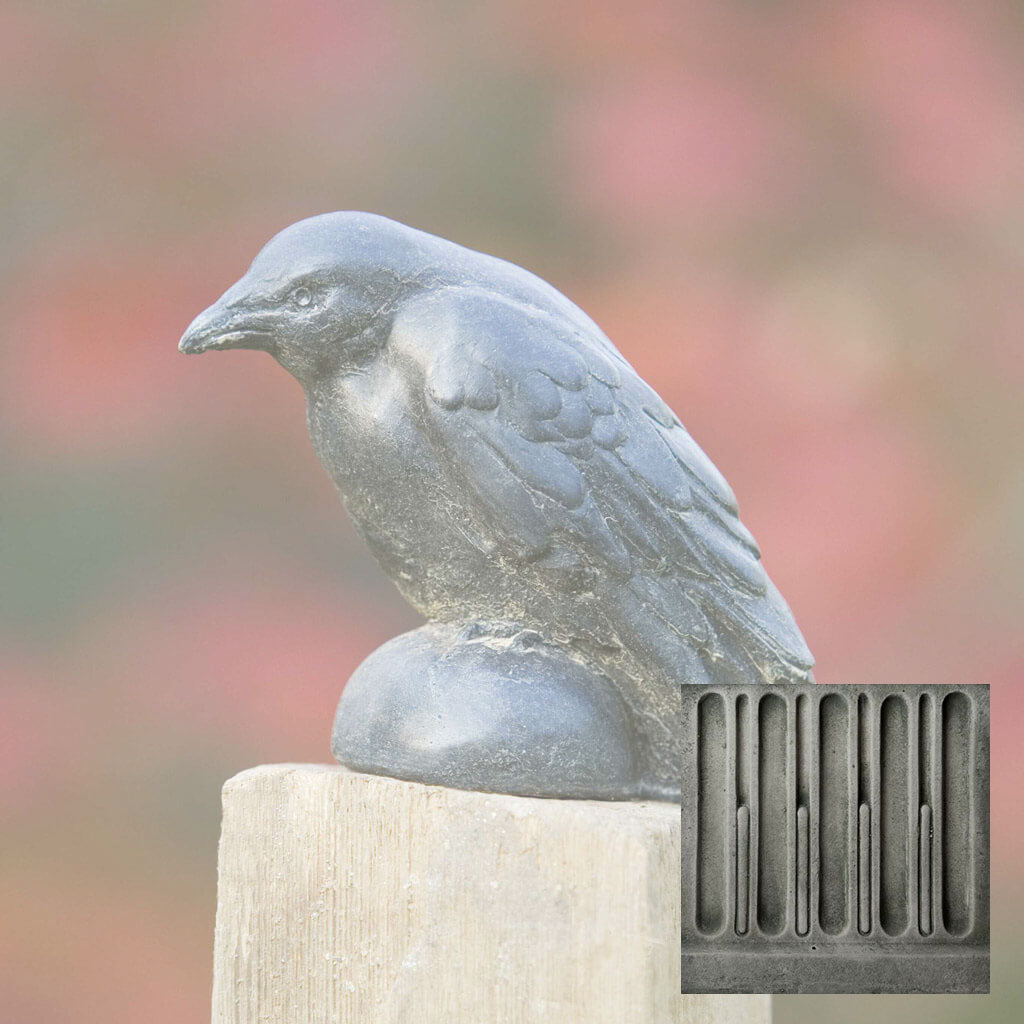 Small Raven