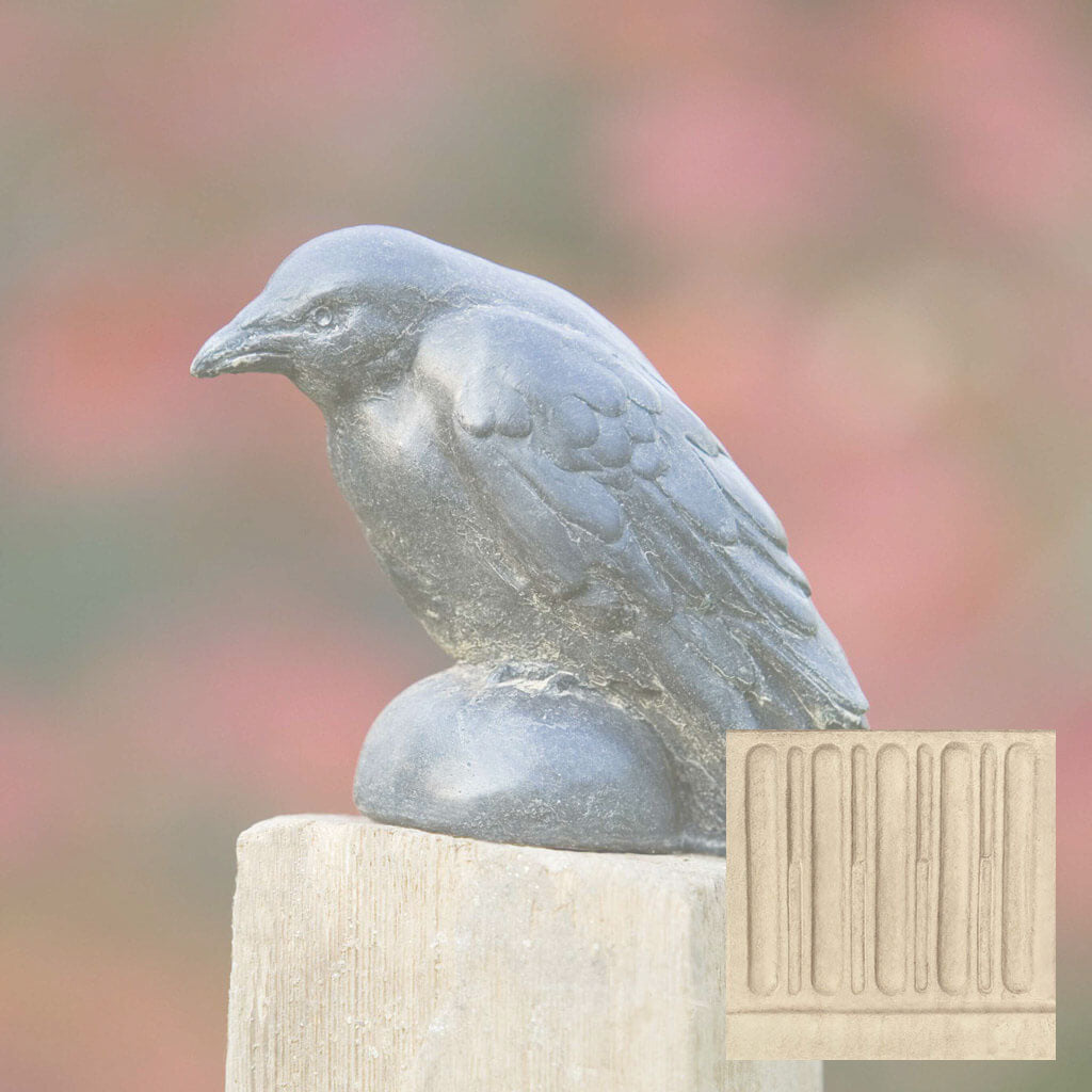 Small Raven