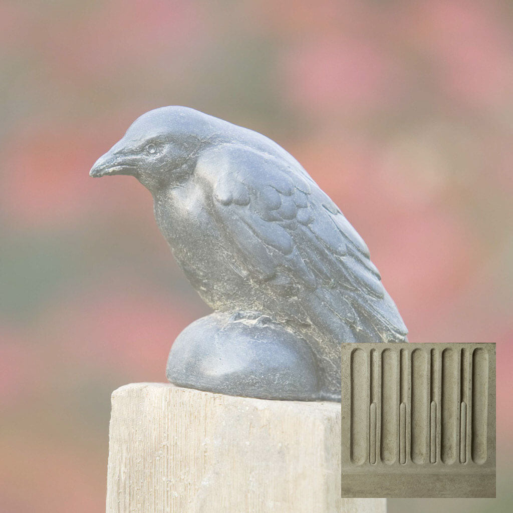 Small Raven