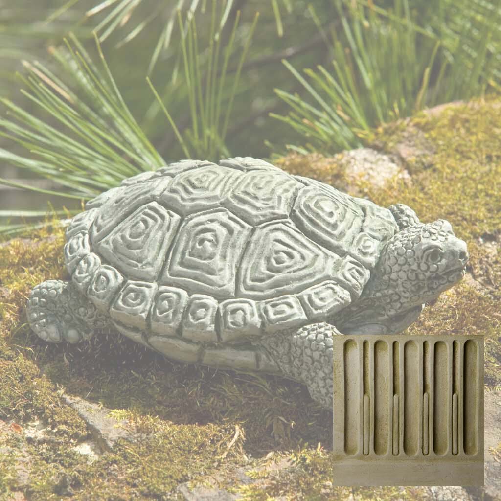 My Pet Turtle