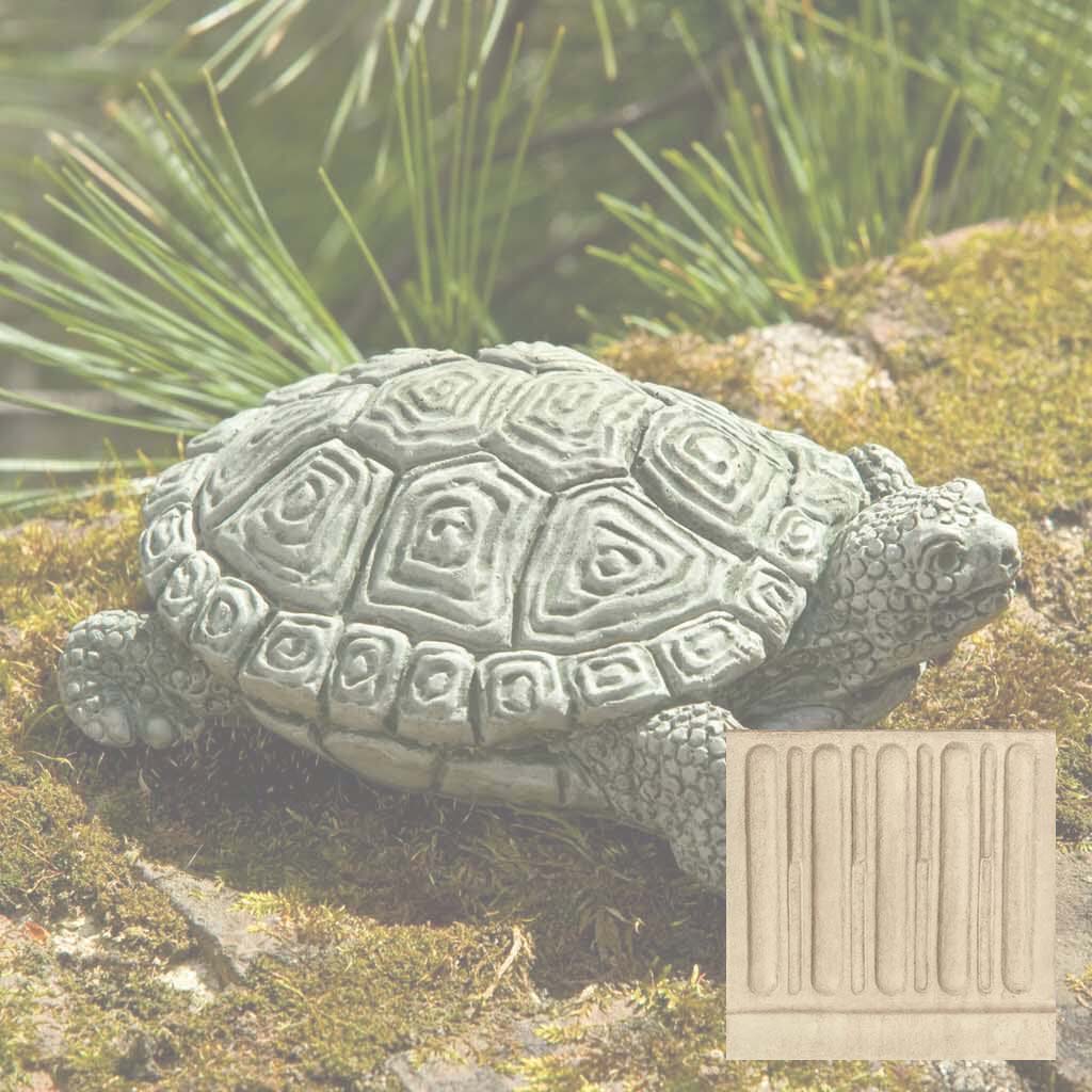 My Pet Turtle