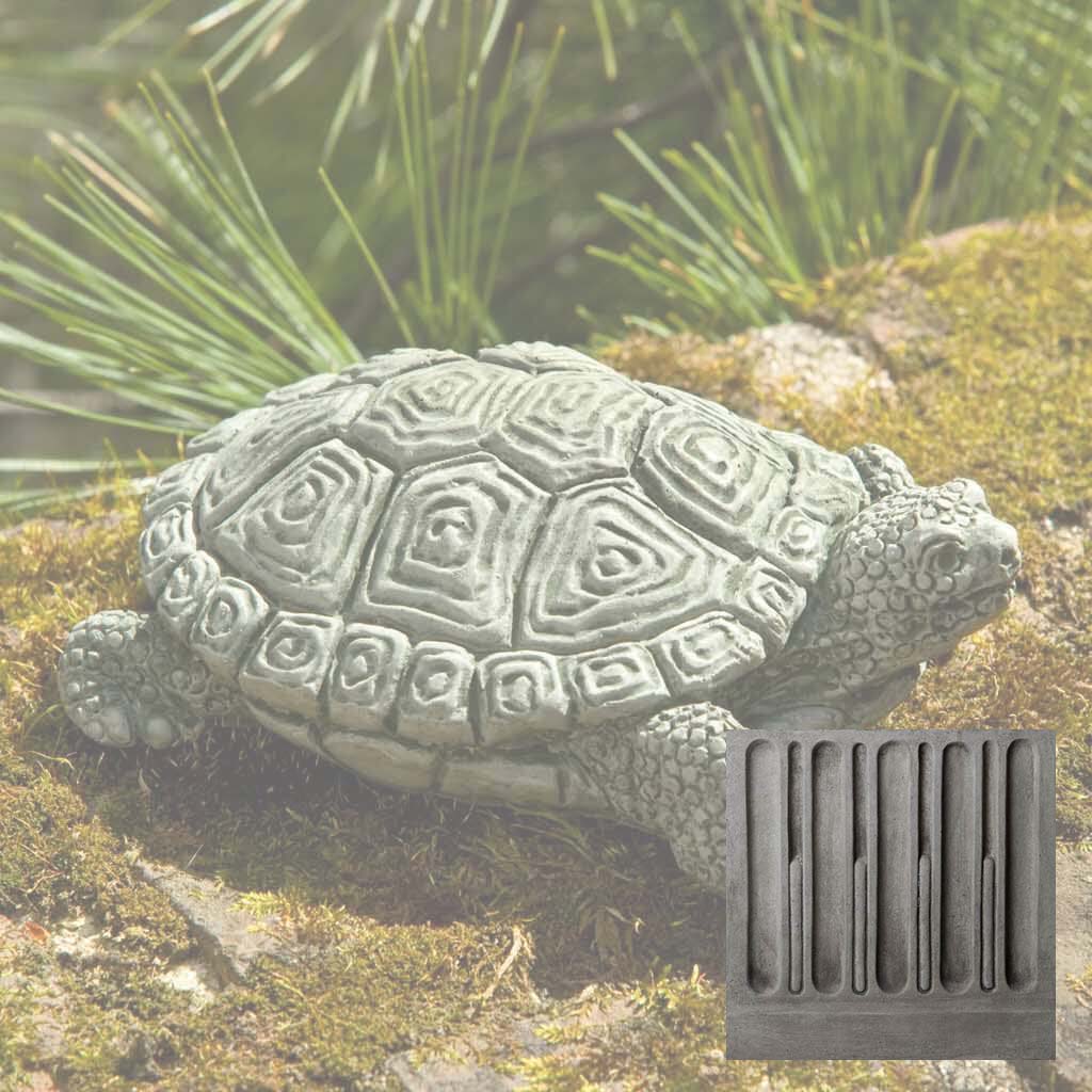My Pet Turtle