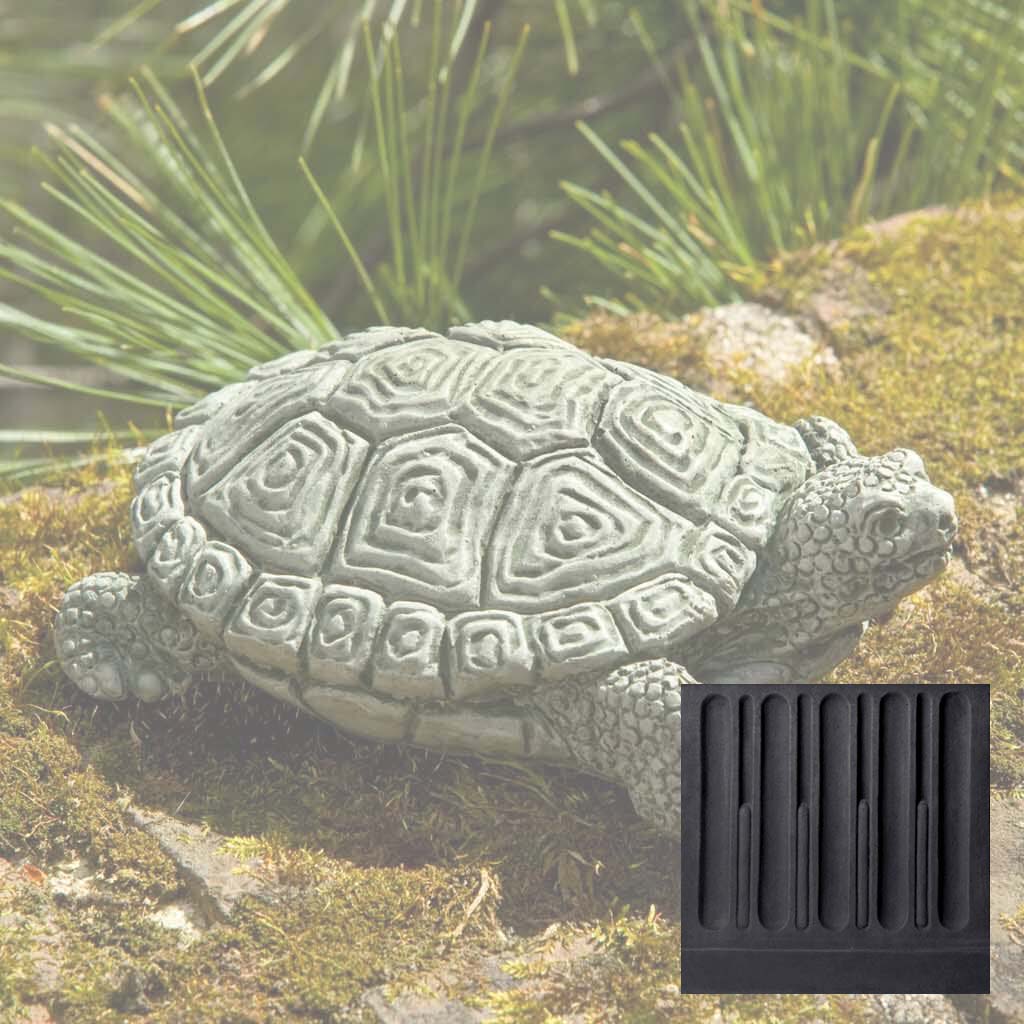 My Pet Turtle
