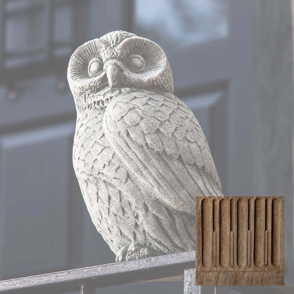 Night Owl