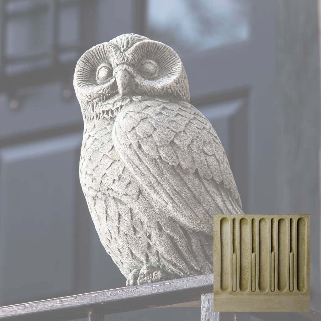 Night Owl