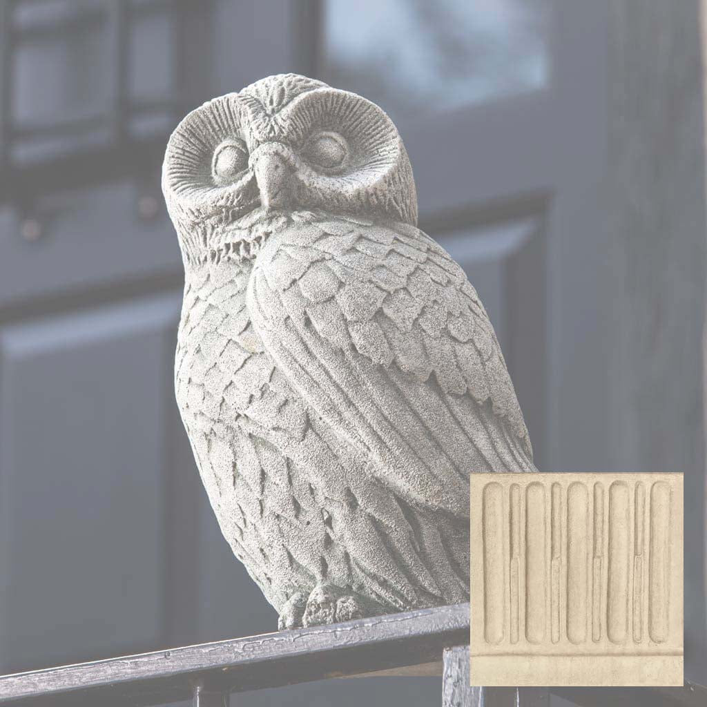 Night Owl