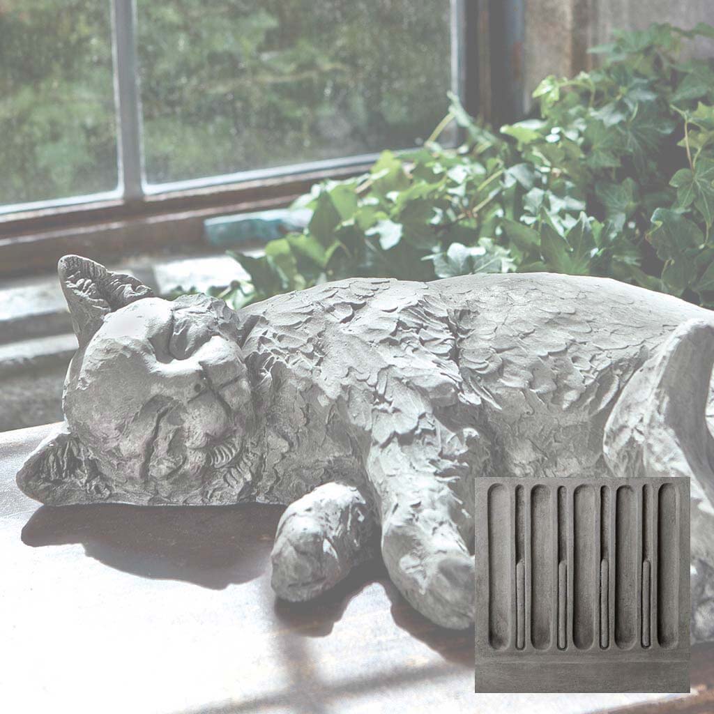 Dreaming Kitty