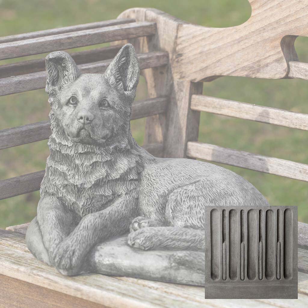 Shepherd Pup