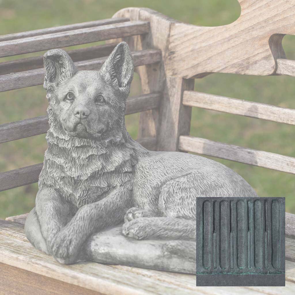 Shepherd Pup