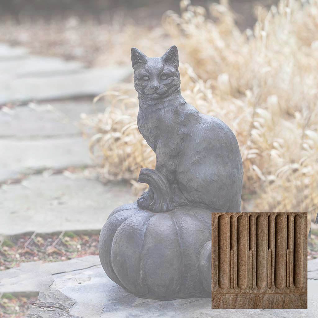 Cat on Pumpkin